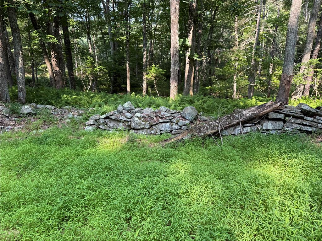 Rebels Road Lot 2c Property Photo 4