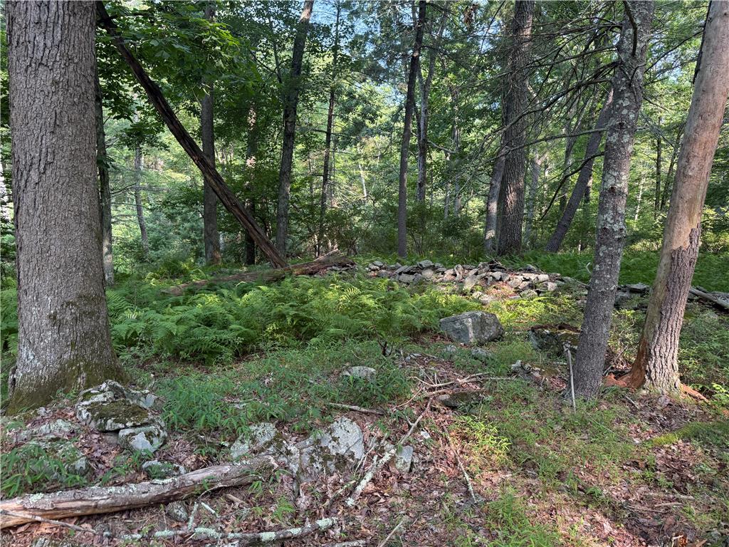 Rebels Road Lot 2c Property Photo 5