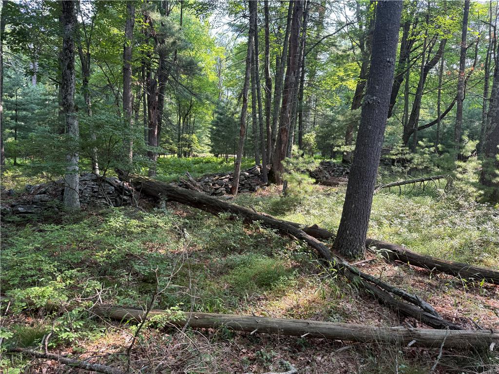 Rebels Road Lot 2c Property Photo 6