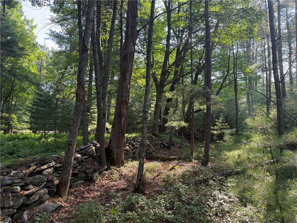 Rebels Road Lot 2c Property Photo 7