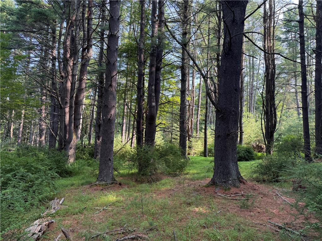 Rebels Road Lot 2c Property Photo 8
