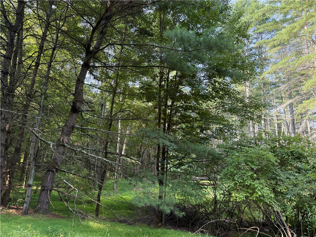Rebels Road Lot 2c Property Photo 9