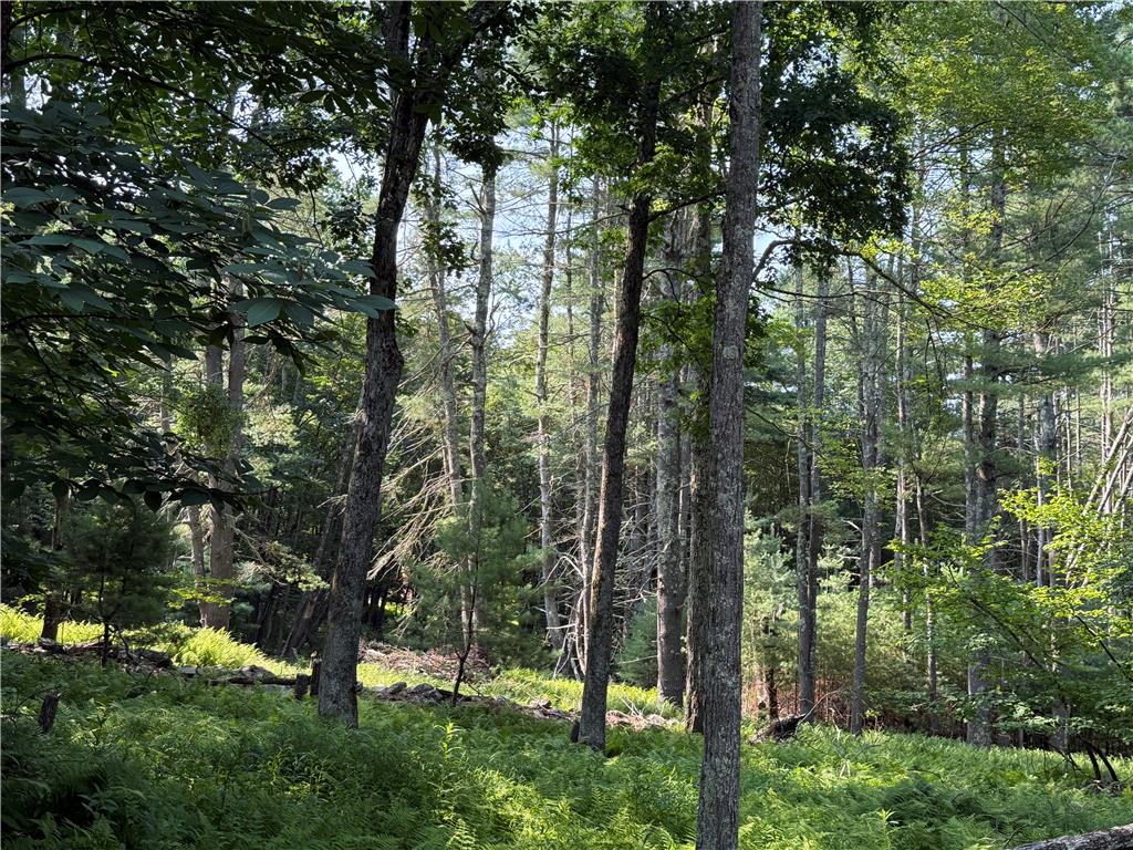 Rebels Road Lot 2c Property Photo 10