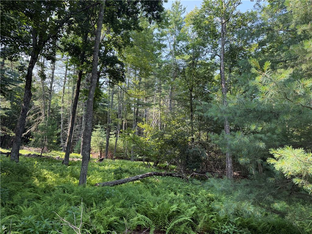 Rebels Road Lot 2c Property Photo 11