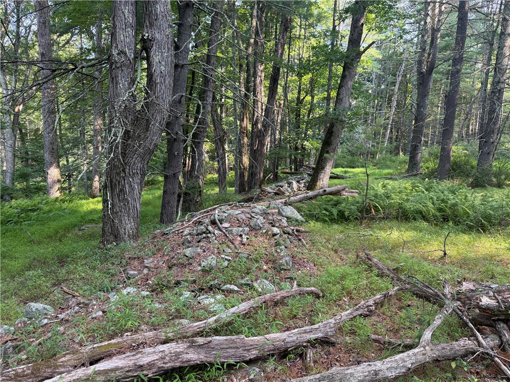 Rebels Road Lot 2c Property Photo 12