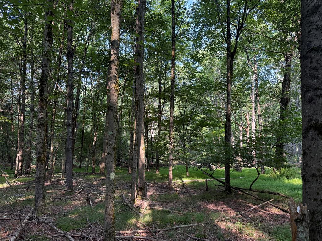 Rebels Road Lot 2c Property Photo 14