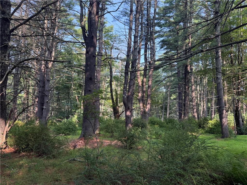Rebels Road Lot 2c Property Photo 15