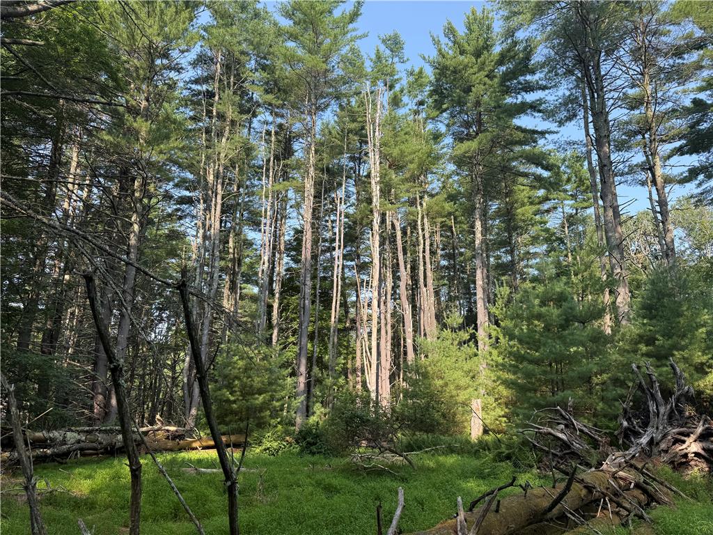 Rebels Road Lot 2c Property Photo 16