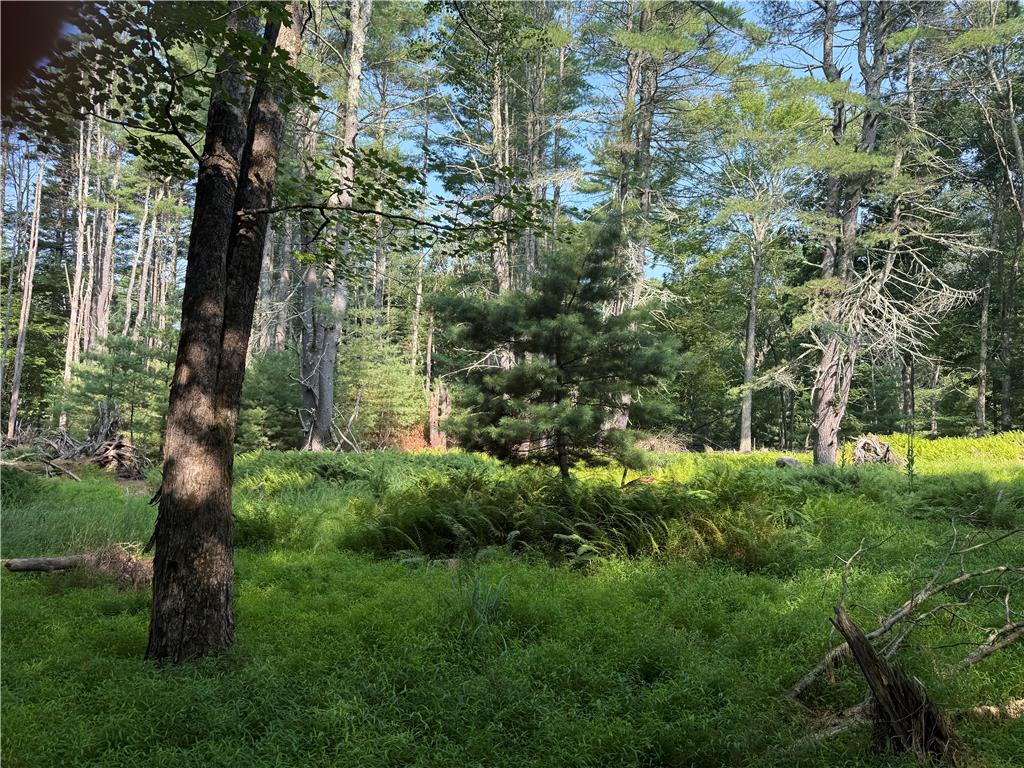 Rebels Road Lot 2c Property Photo 17