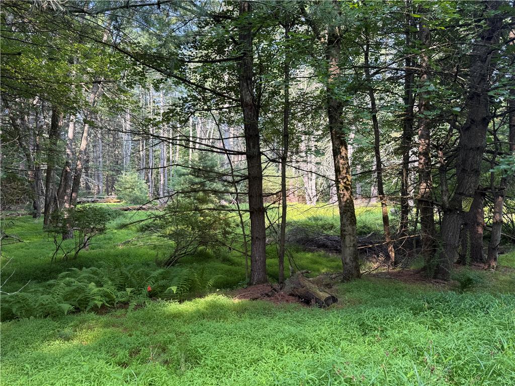 Rebels Road Lot 2c Property Photo 18