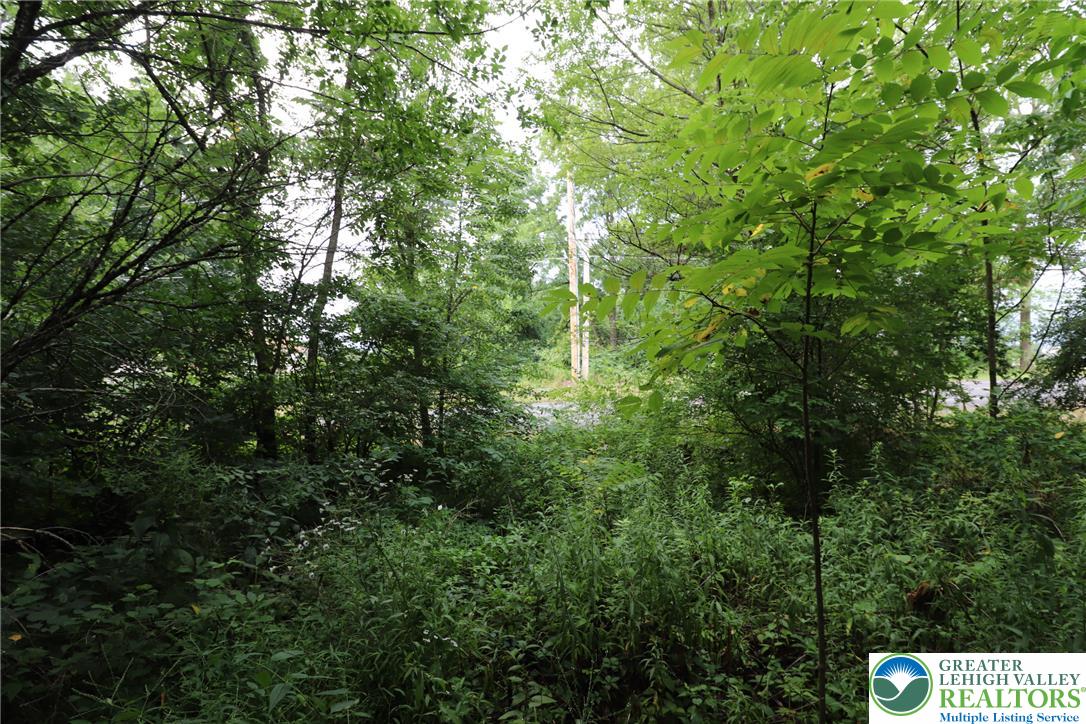 8401 Brookdale Road Property Photo 4