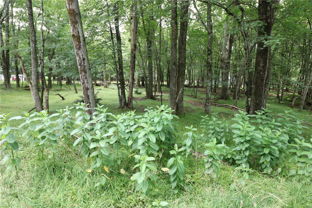 Long Brooke & Woodland Road Property Photo 4