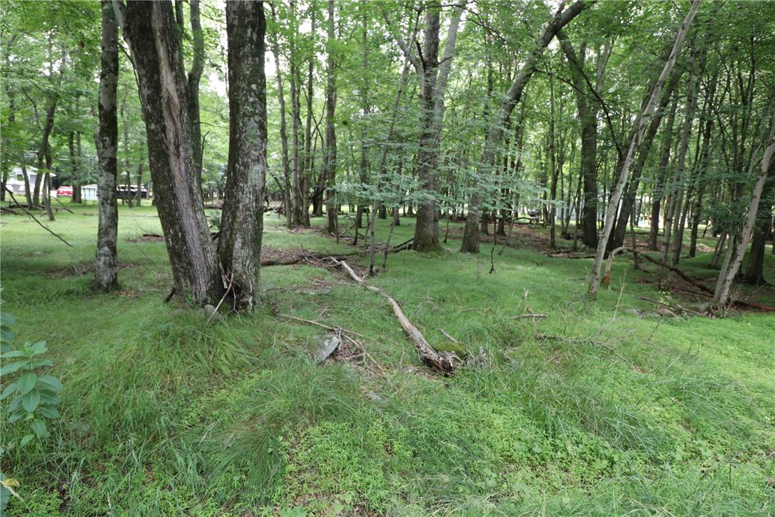 Long Brooke & Woodland Road Property Photo 5