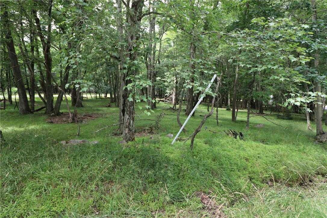 Long Brooke & Woodland Road Property Photo 6