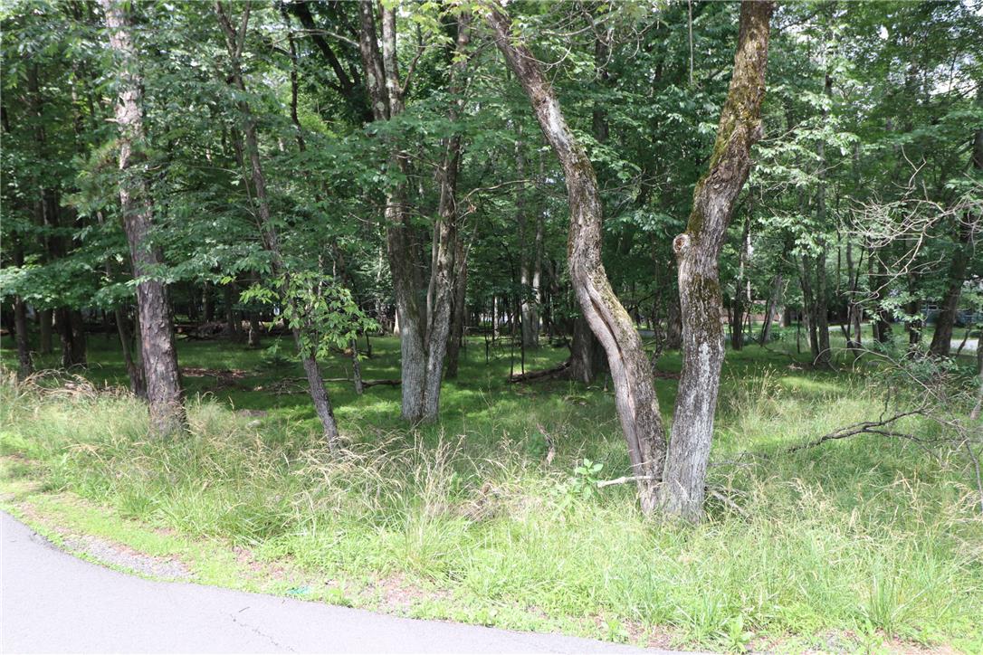 Long Brooke & Woodland Road Property Photo 8