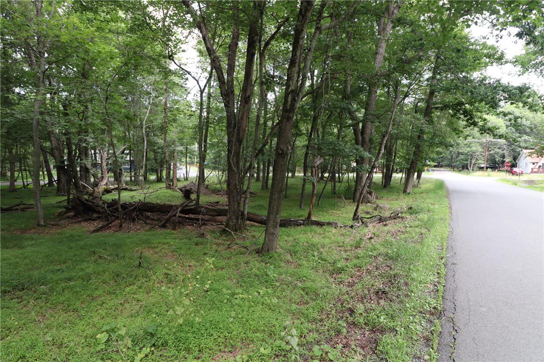 Long Brooke & Woodland Road Property Photo 11