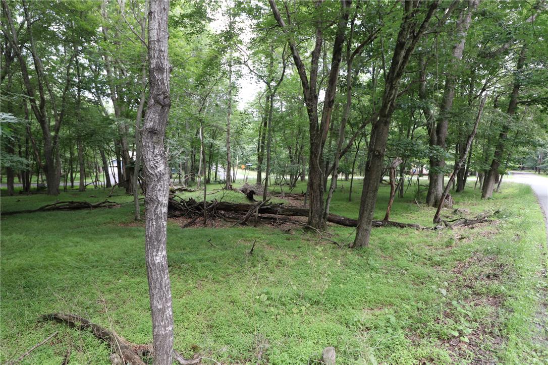 Long Brooke & Woodland Road Property Photo 16