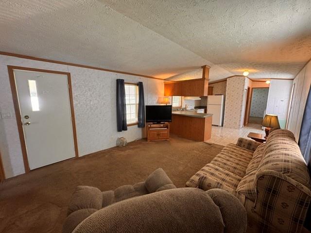 3 Blue Mountain View Property Photo 4