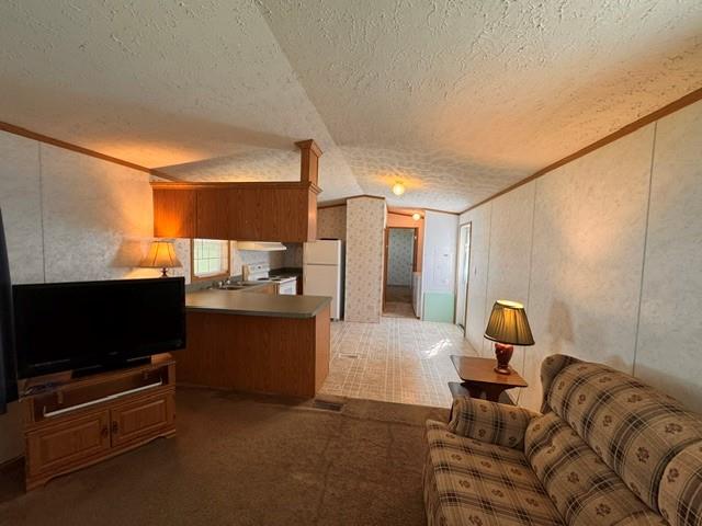 3 Blue Mountain View Property Photo 6