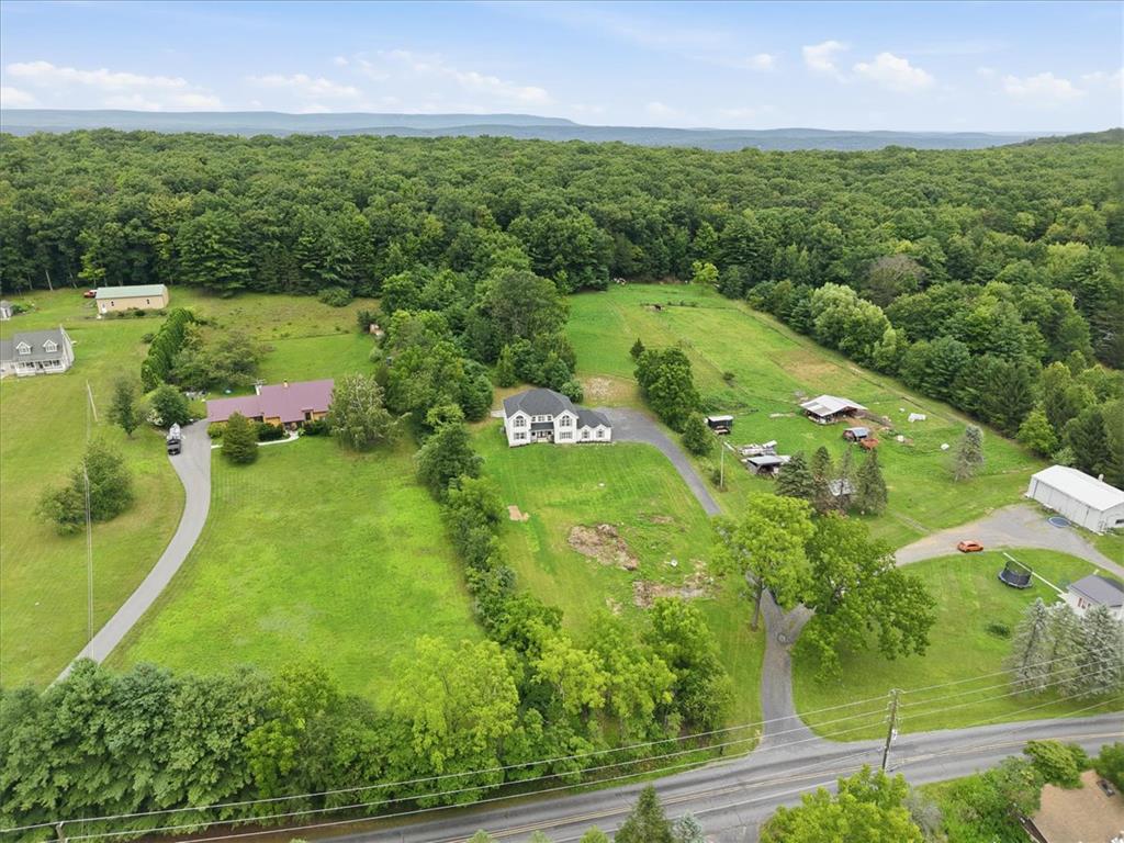 387 Blue Ridge Road Property Photo 88