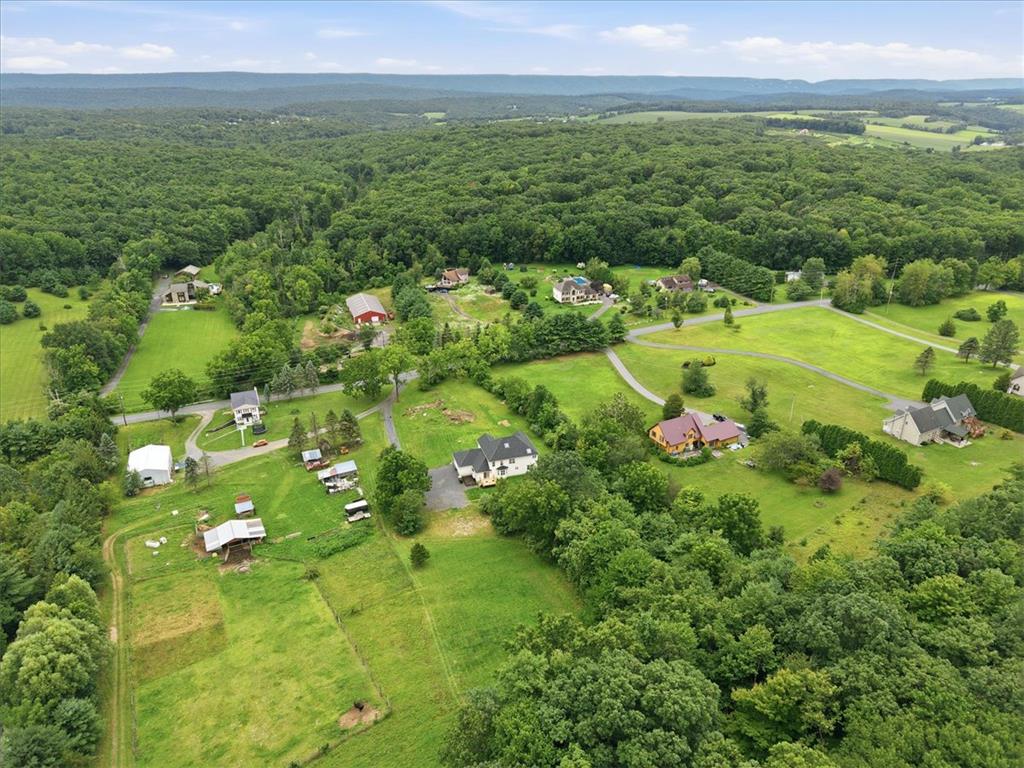 387 Blue Ridge Road Property Photo 89