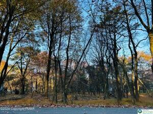 1807 Penn Forest Drive Property Photo 1