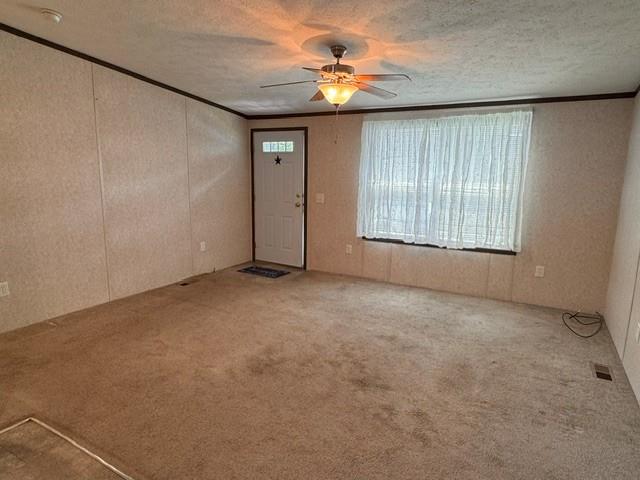 287 Birchwood Property Photo 5