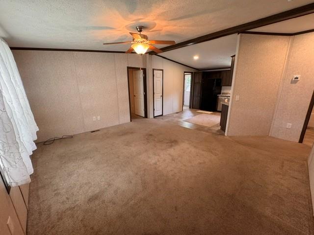 287 Birchwood Property Photo 6