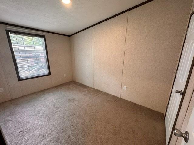 287 Birchwood Property Photo 26