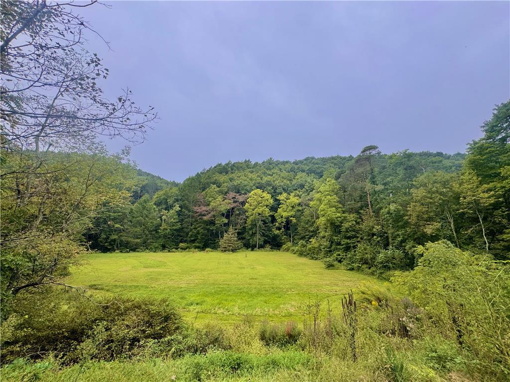337 Fiddletown Road Property Photo 10