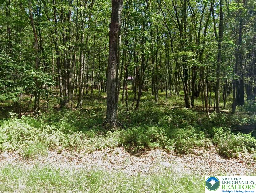 71 Pawnee Trail 2521 Property Photo 3