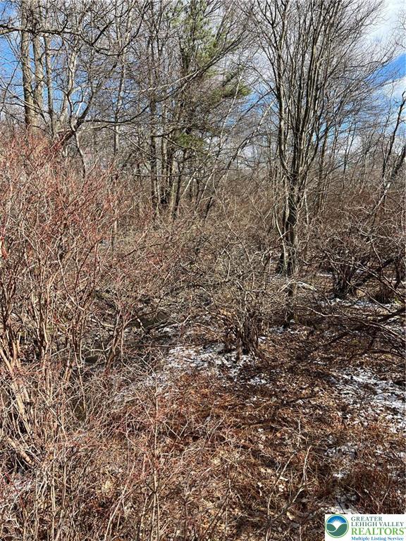 124 Ash Drive Property Photo 5