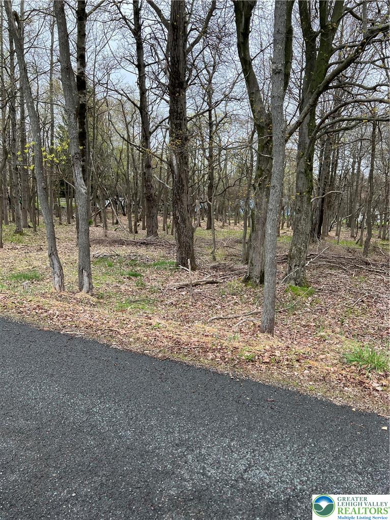255 Pontiac Path Trail 12 Property Photo 1