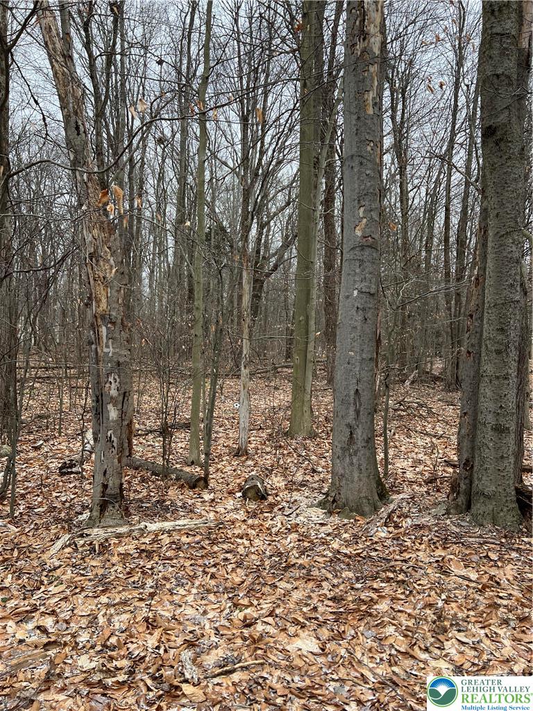 255 Pontiac Path Trail 12 Property Photo 2