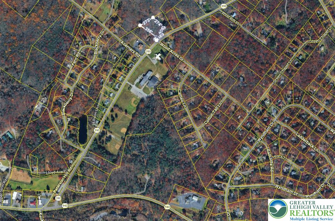 Route 390 Property Photo 2