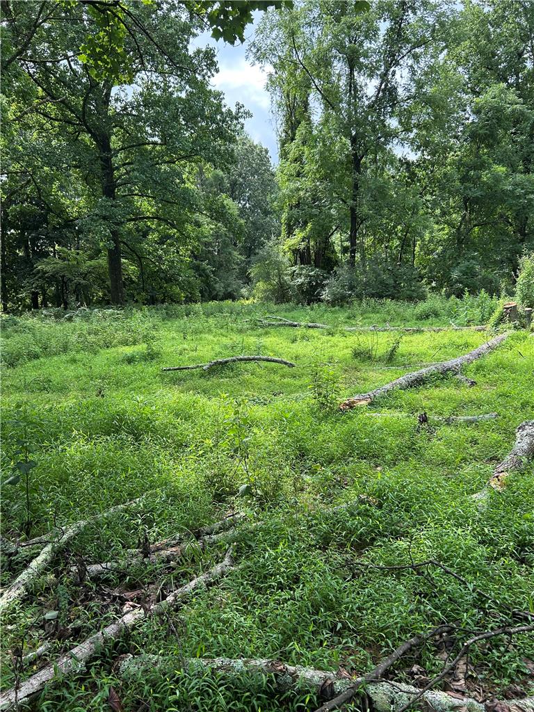 201 Ruth Street Property Photo 9