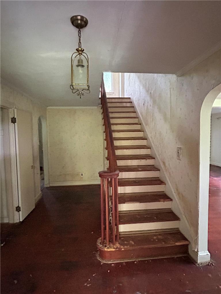 201 Ruth Street Property Photo 16