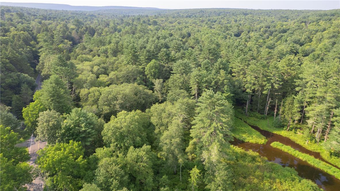 590 Cranberry Creek Road Property Photo 1