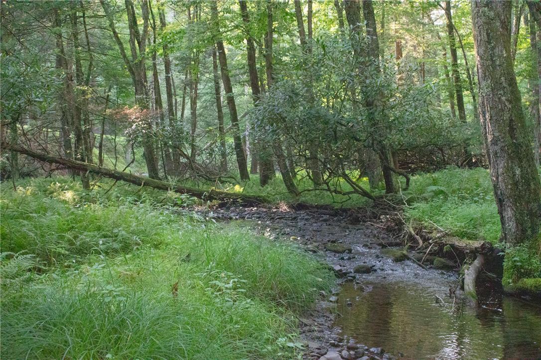 590 Cranberry Creek Road Property Photo 3