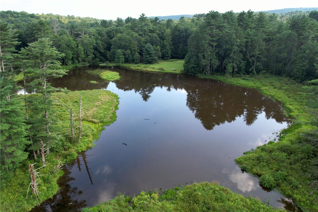 590 Cranberry Creek Road Property Photo 6