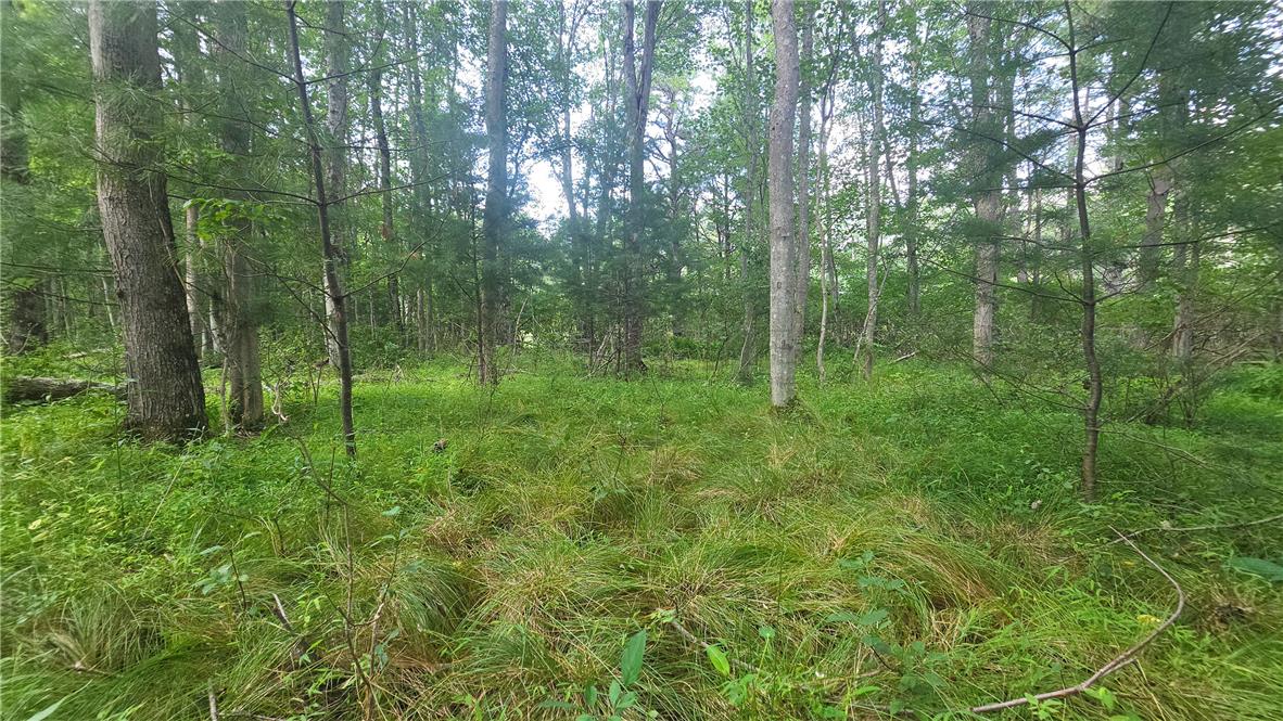 590 Cranberry Creek Road Property Photo 7