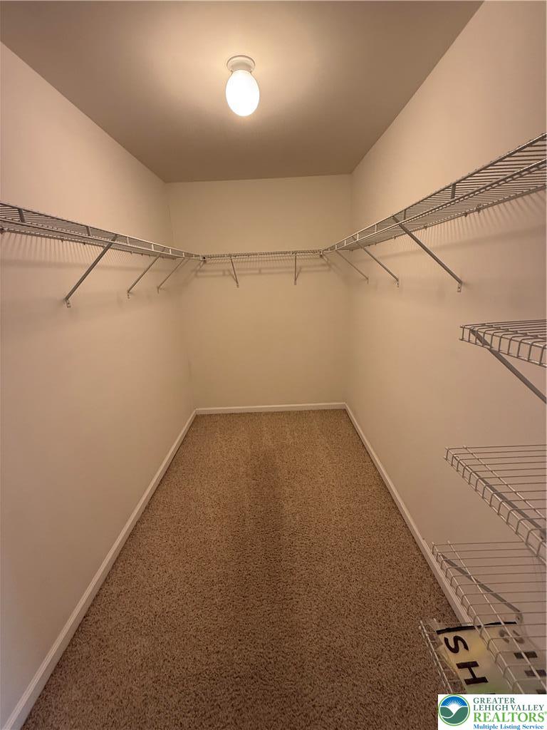 4528 Bellflower Way Property Photo 13