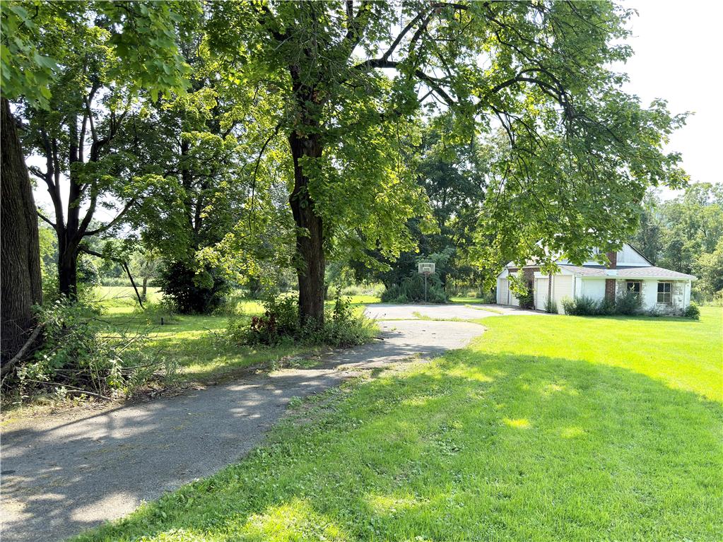 4550 Vera Cruz Road Property Photo 12