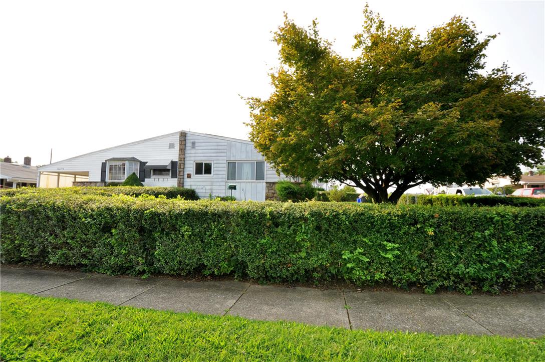 1604 Jill Street Property Photo 4