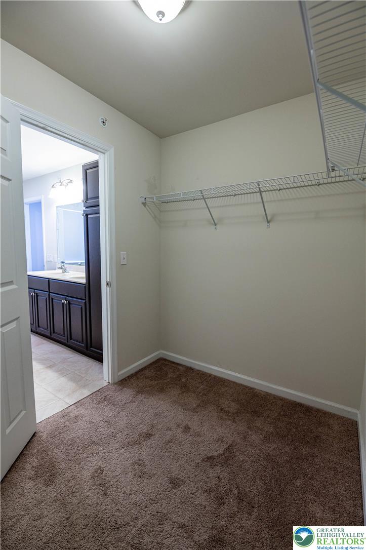 1434 Black Forest Drive Property Photo 21