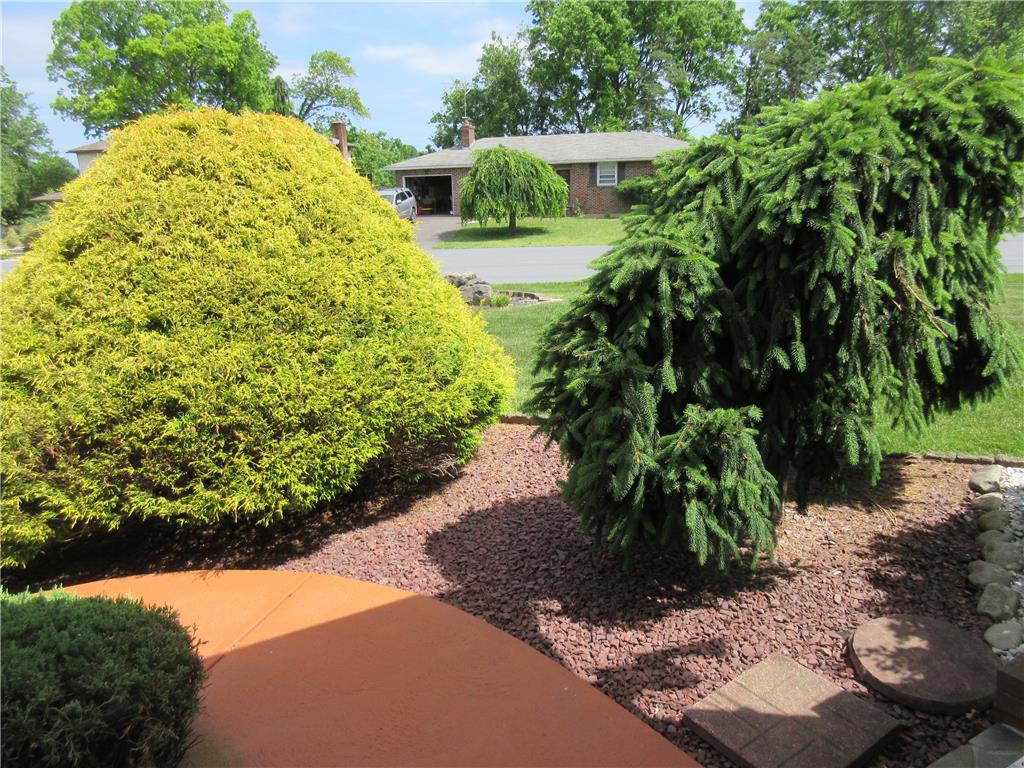 531 Mountain View Road Property Photo 41