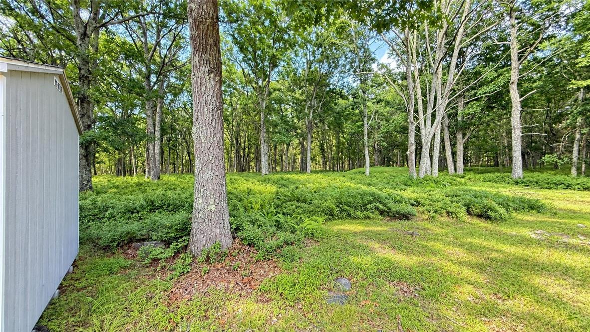 1115 Snowshoe Court Property Photo 8
