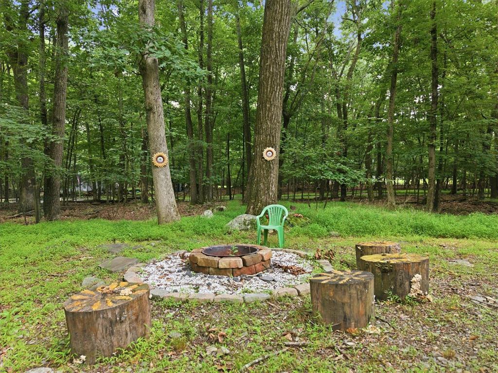6619 Delilah Road Property Photo 52