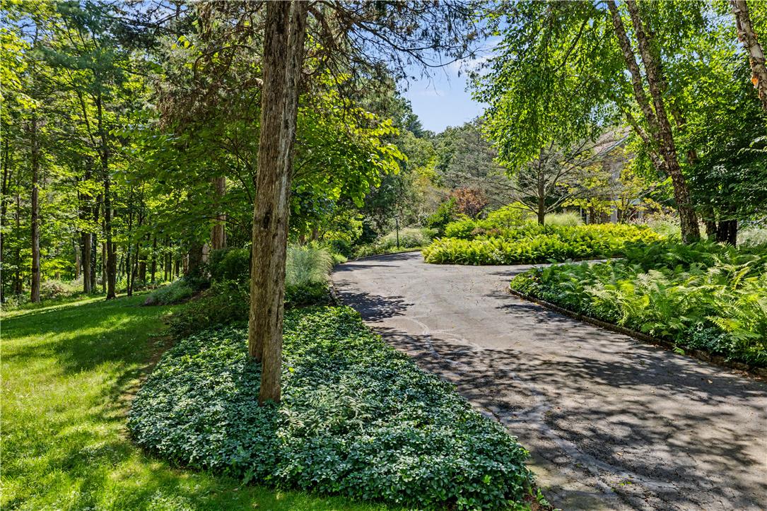 251 Municipal Road Property Photo 82