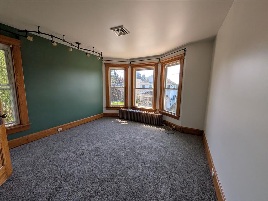 113 Ackerman Street Property Photo 21